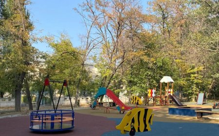 Бақытты балалыққа бағытталған игілікті іс