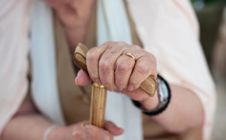 Елімізде 448 қарт бар екені белгілі болды