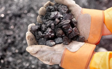 Жамбыл облысында орман қорының жерлері көмір өндіруге беріледі.