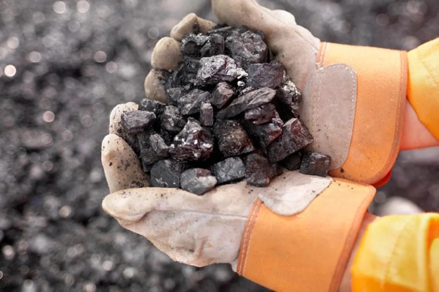 Жамбыл облысында орман қорының жерлері көмір өндіруге беріледі.