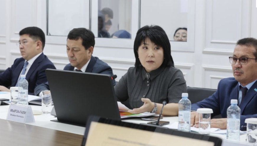 Отбасын қолдау орталықтарының жұмысы нәтижелі ме?