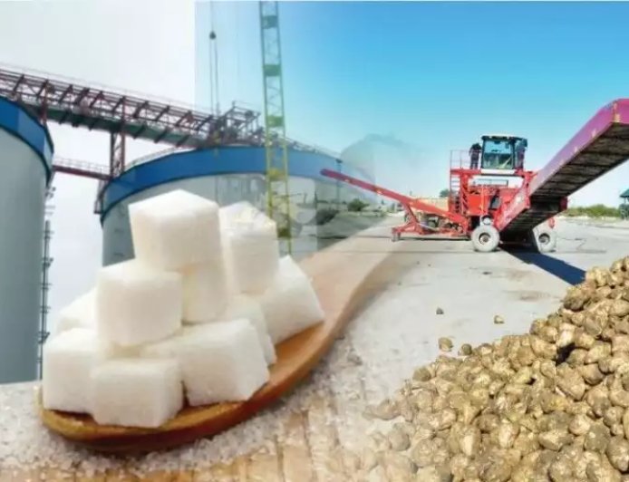 Тараз қант зауыты биыл қызылша өңдей ме?